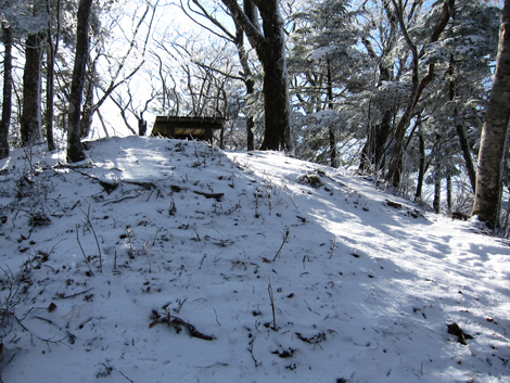 20191129hike (243)